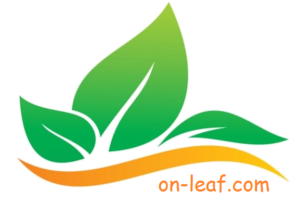 on-leaf.com